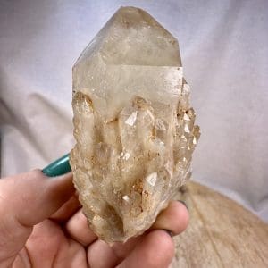 Lwena citrien cluster - 31