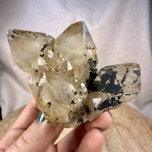 Lwena citrien cluster - 33