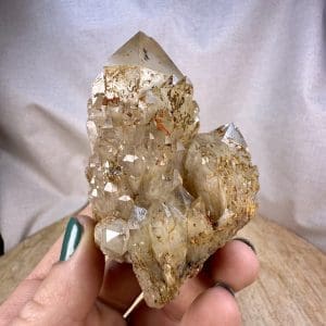 Lwena citrien cluster - 36