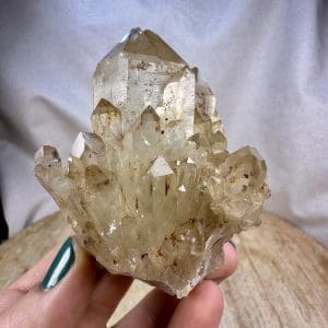 Lwena citrien cluster - 38