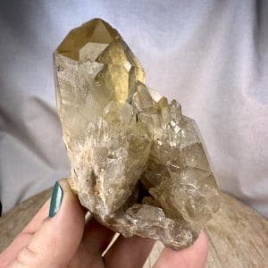 Lwena citrien cluster - 41