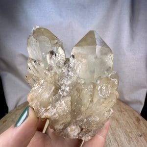 Lwena citrien cluster - 42