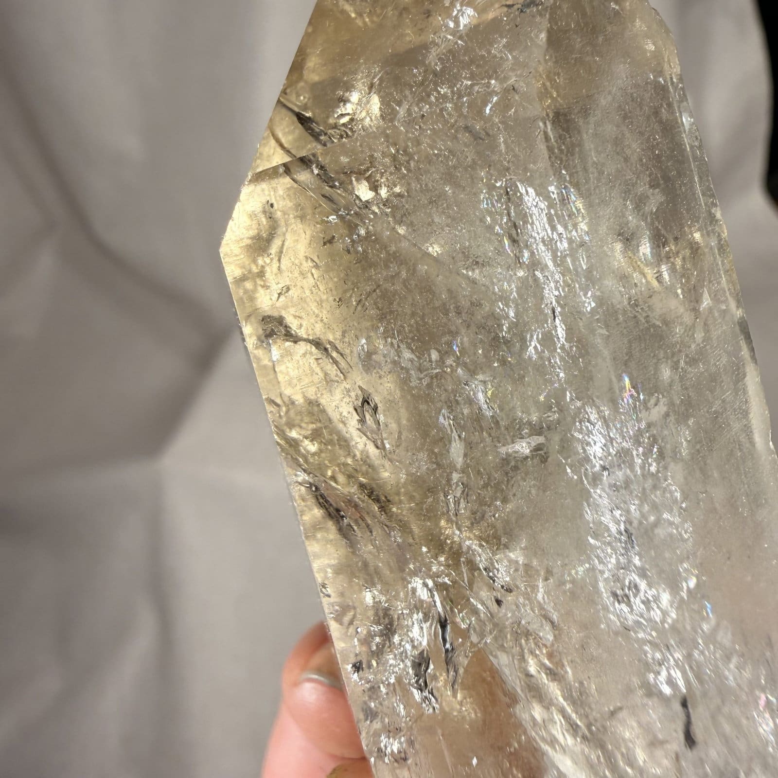 SKRDU Citrien cluster - 10 - Afbeelding 2