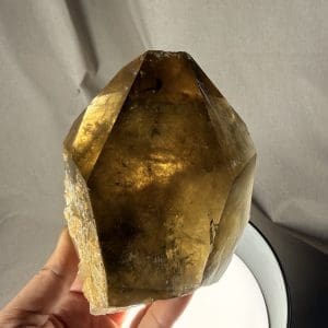 STATEMENT PIECE! SKRDU Citrien cluster - 45