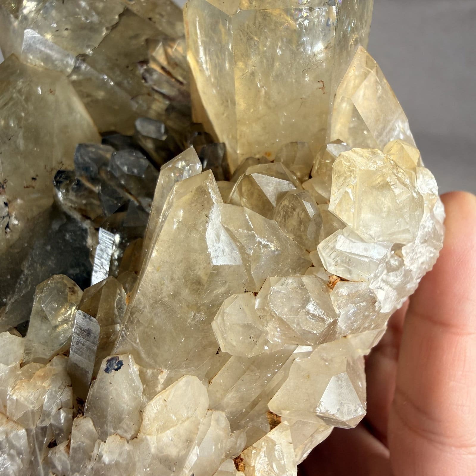 Lwena citrien cluster - 47 - Afbeelding 2