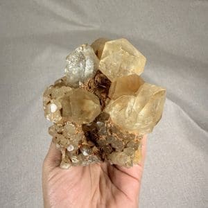 Lwena citrien cluster - 52