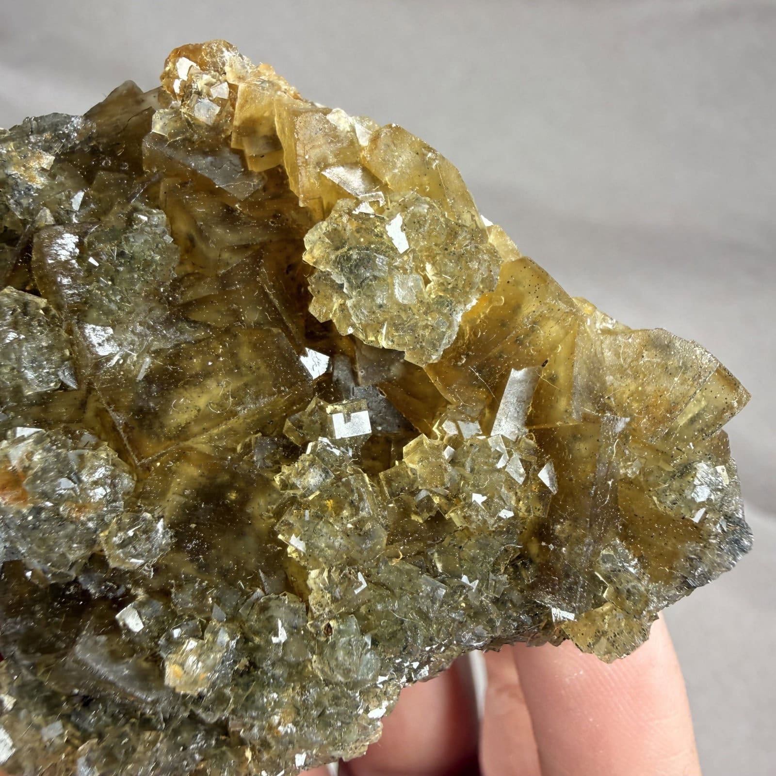 Moscona Fluoriet cluster - 4 - Afbeelding 2