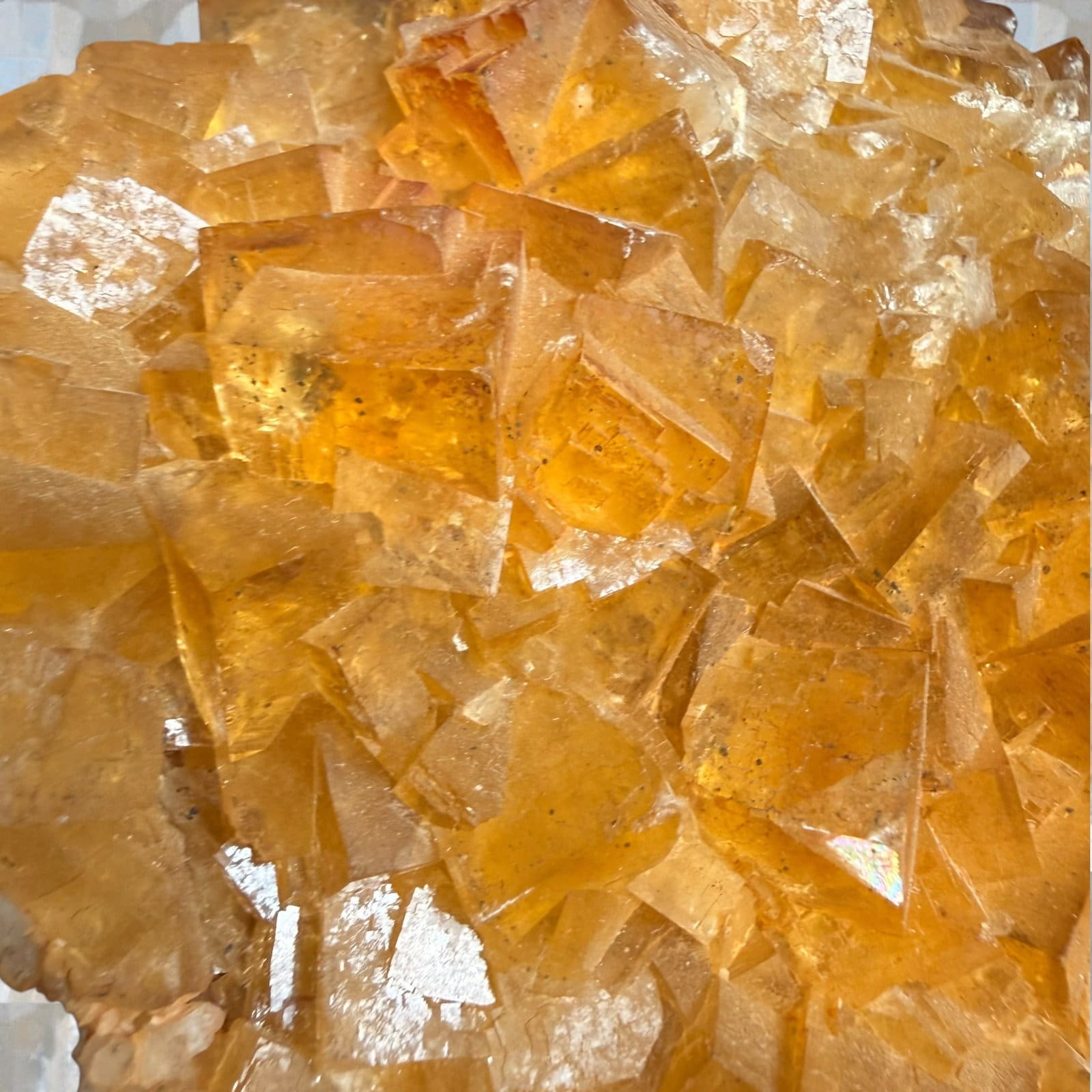 STATEMENT PIECE! Gouden Bariet cluster uit China - Afbeelding 3