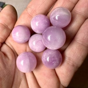 Alternative view of Kunziet bolletje - Random pick