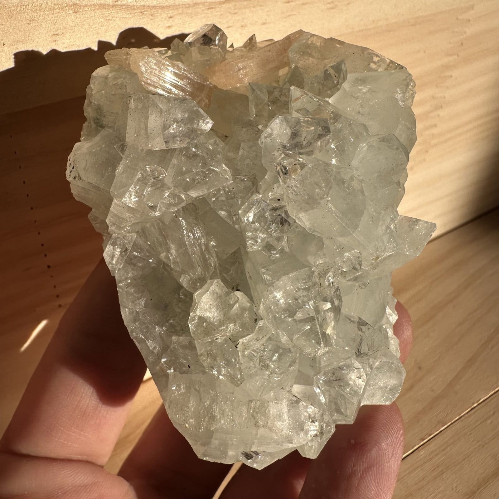 Apofyliet cluster - 3