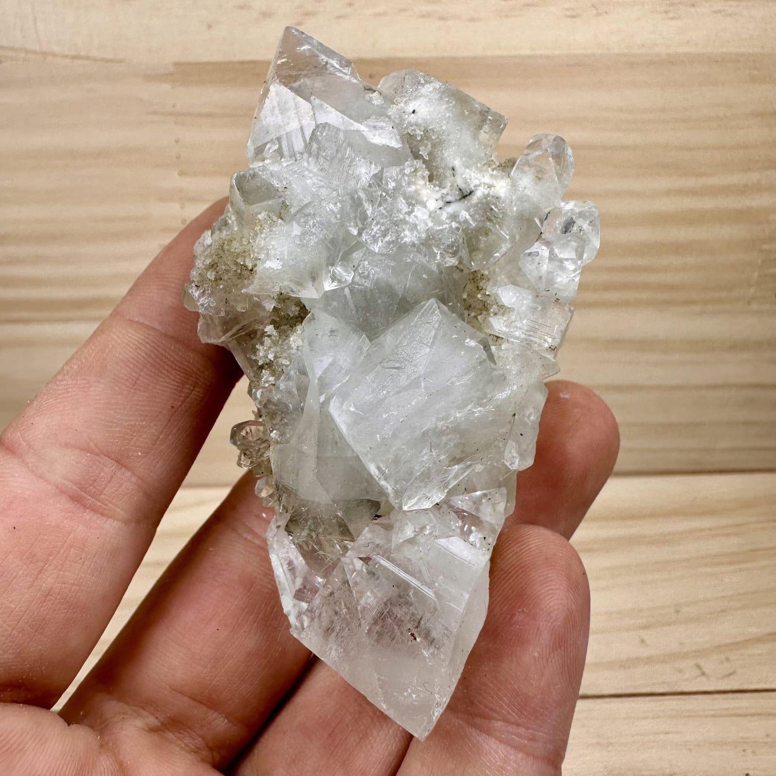 Apofyliet cluster - 48