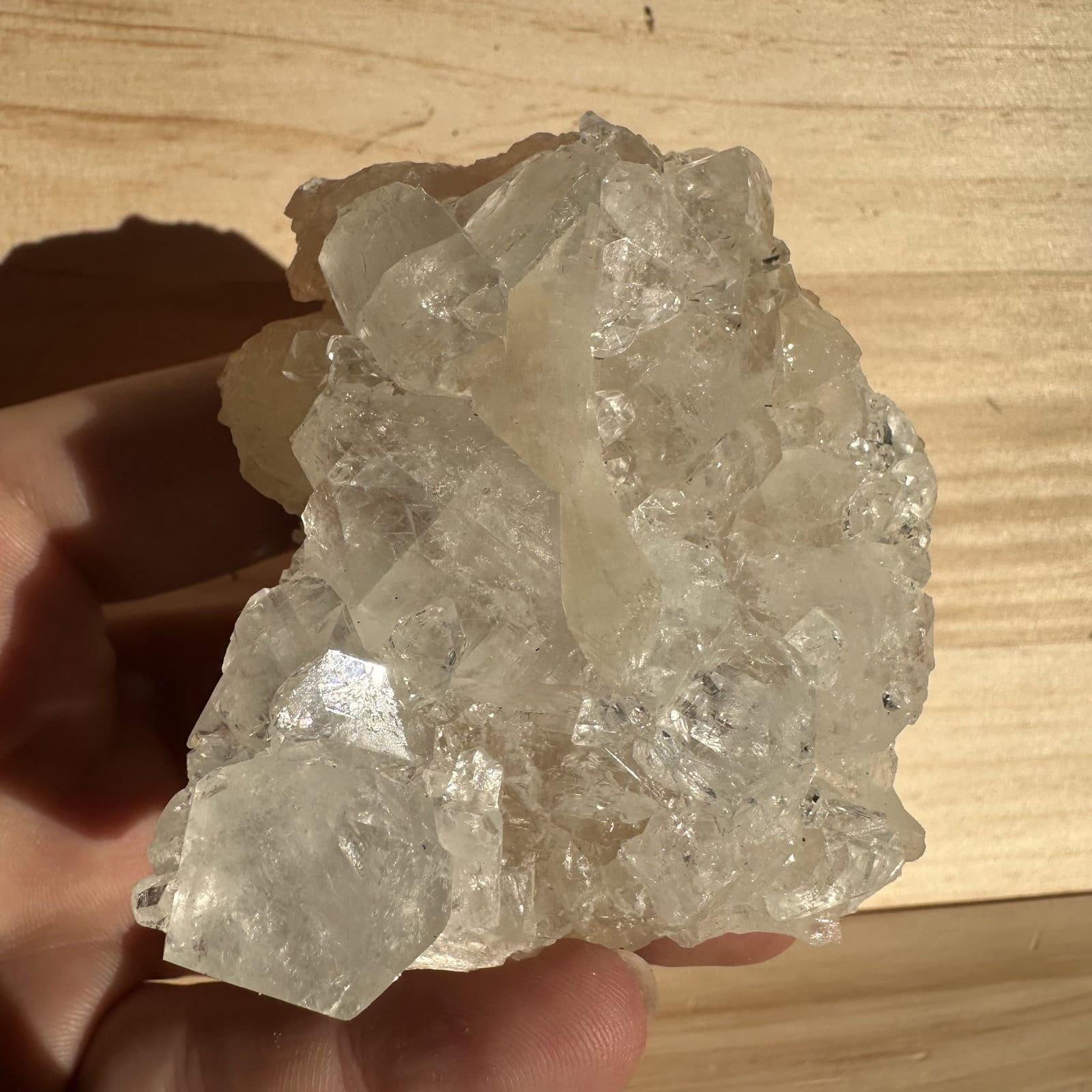 Apofyliet cluster - 74