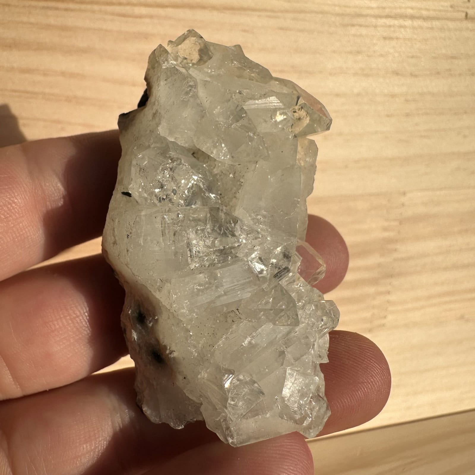 Apofyliet cluster - 121