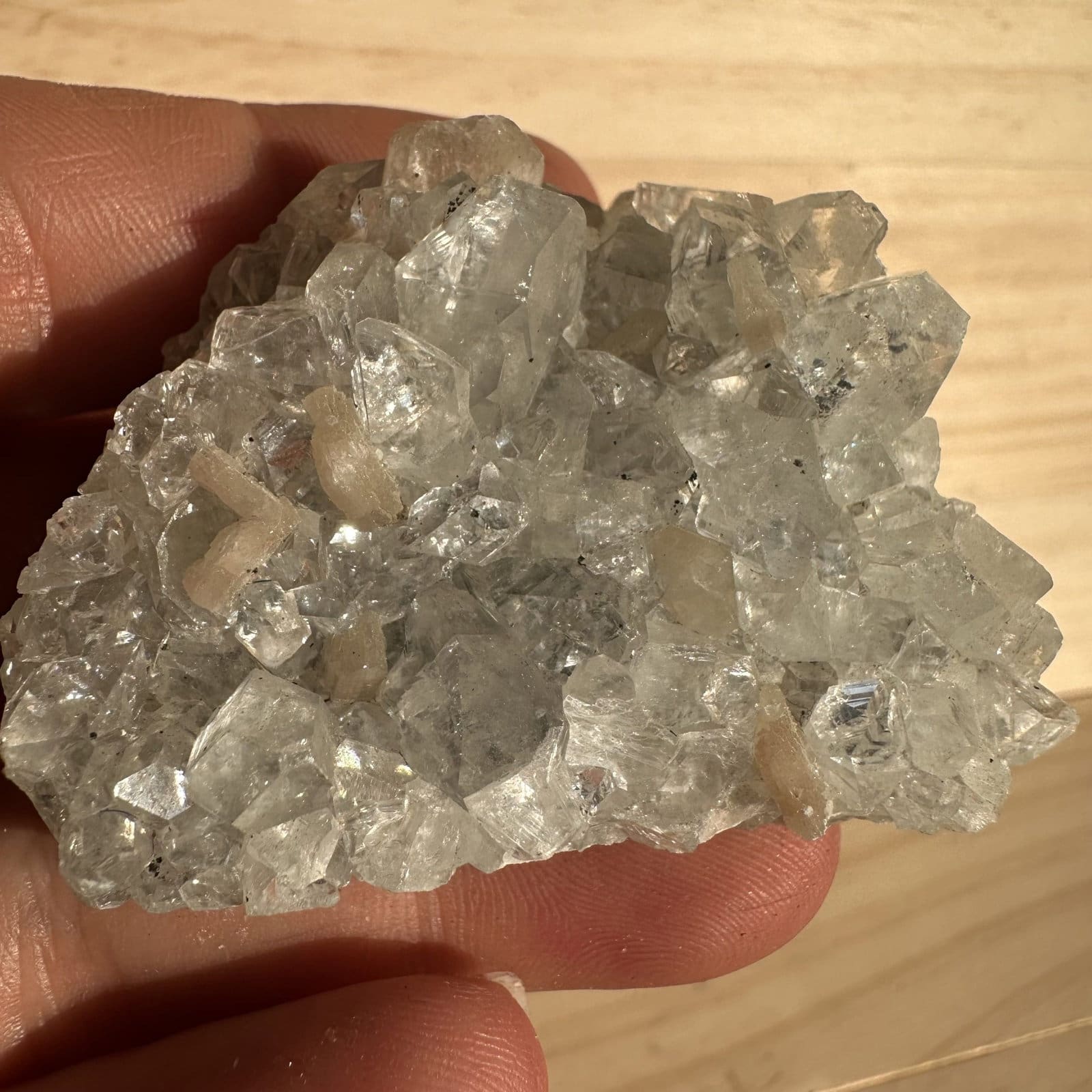 Apofyliet cluster - 129