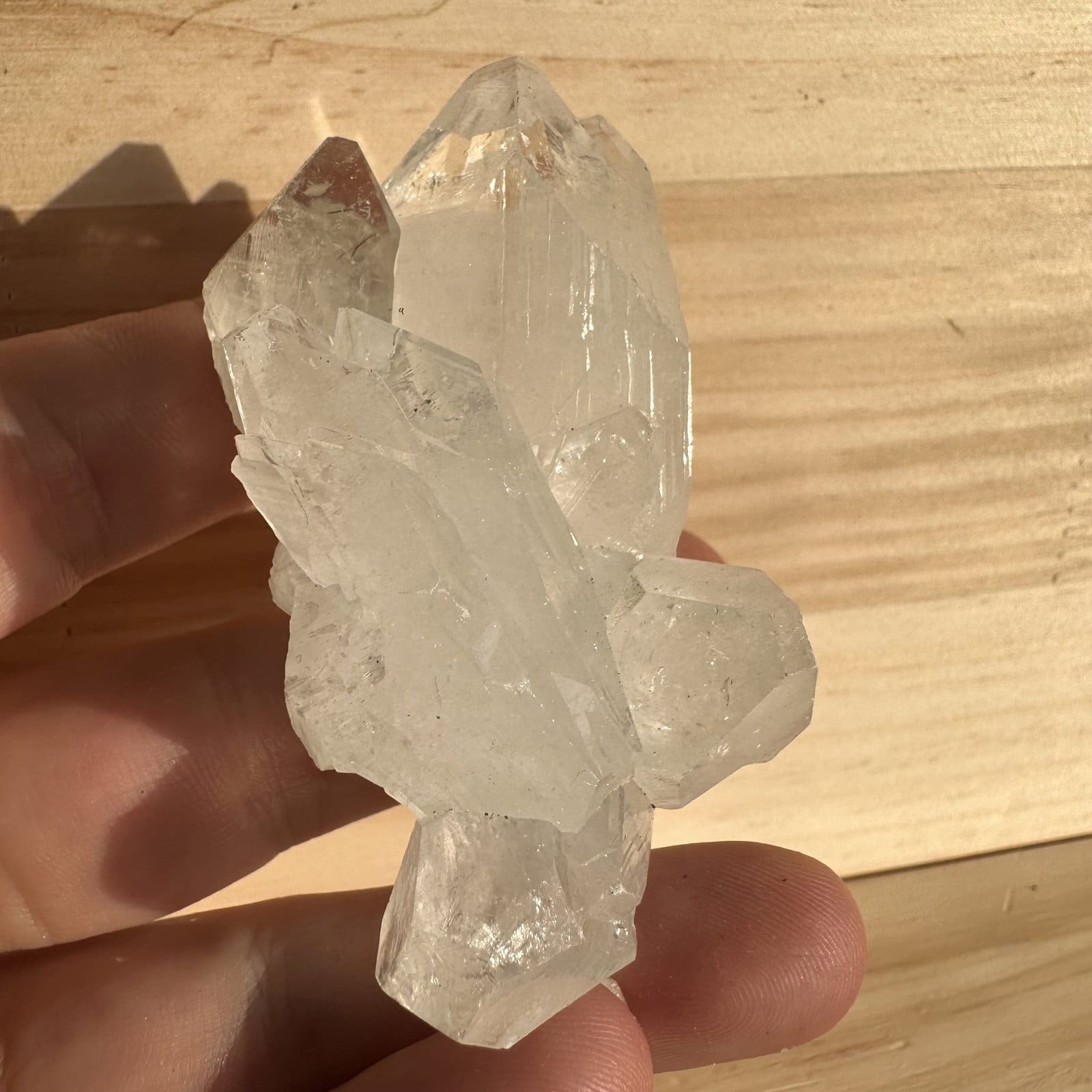 Apofyliet cluster - 133