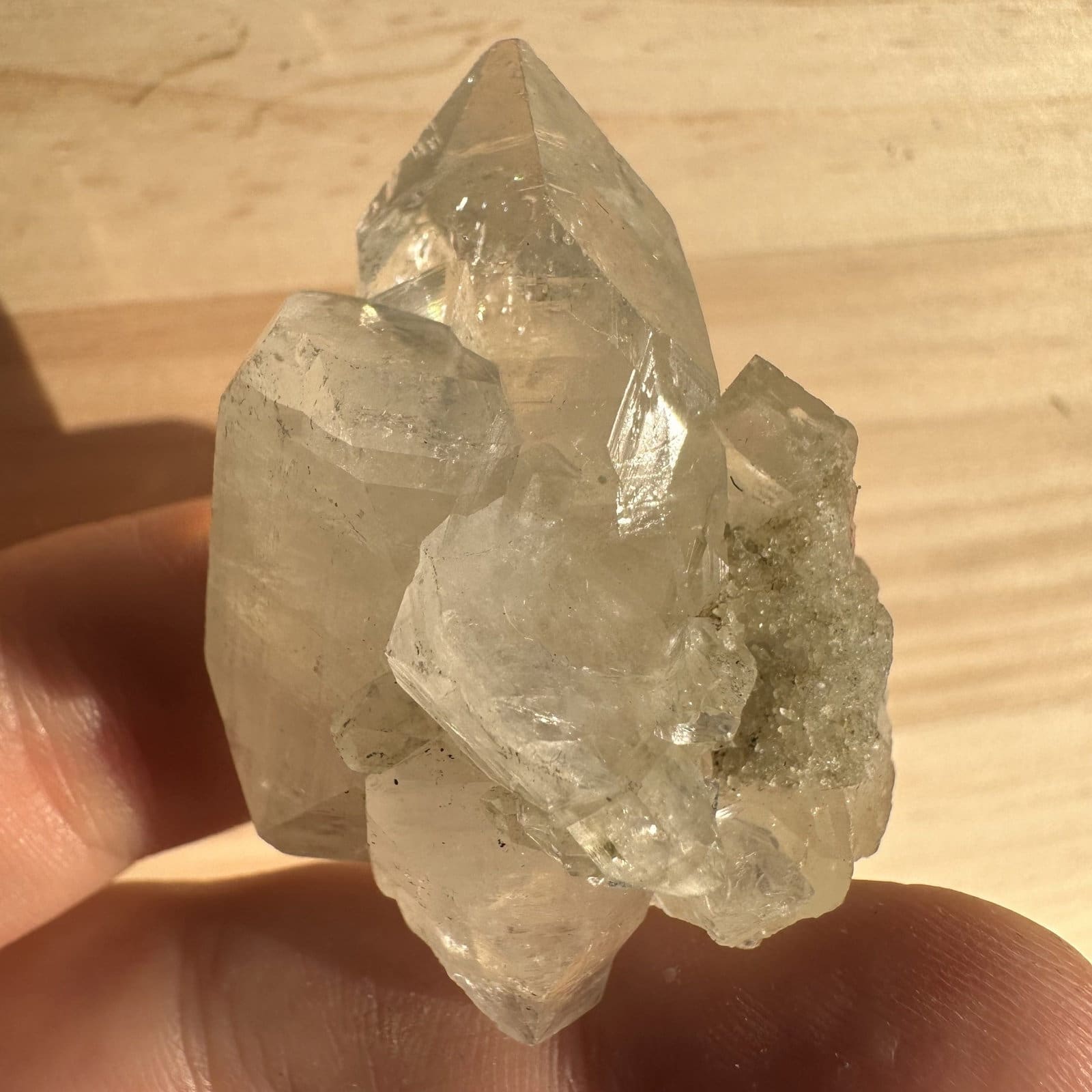 Apofyliet cluster - 139