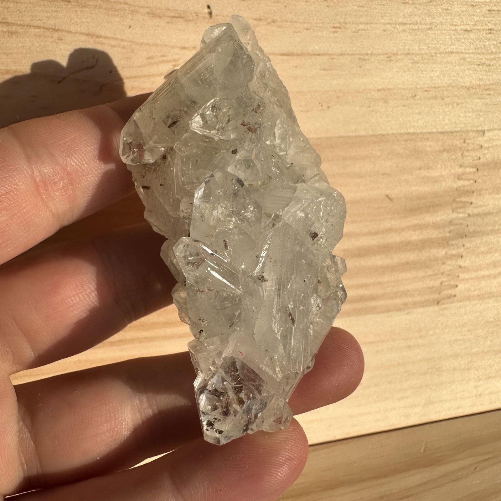 Apofyliet cluster - 154