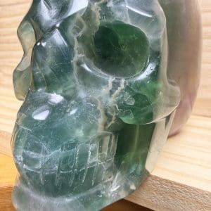 Alternative view of Carving 11 - Skull met hond van Fluoriet