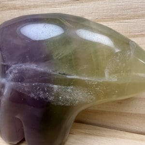 Alternative view of Carving 23 - Bison van Yttrium fluoriet