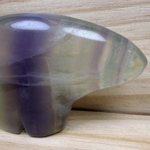 Alternative view of Carving 24 - Bison van Yttrium fluoriet