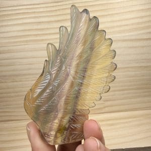 Carving 29 - Vleugel van Fluoriet