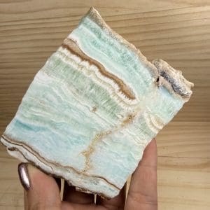 Caribbean calciet schijf - 4