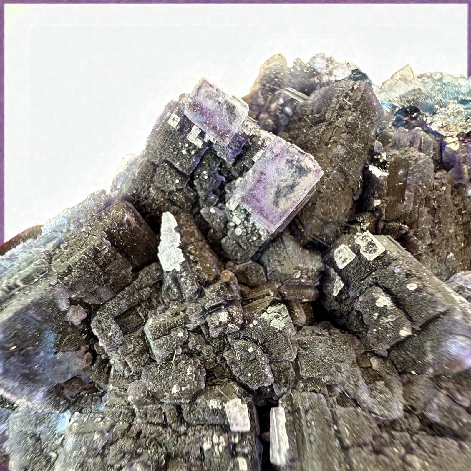 Zhejiang Indigo fluoriet cluster - 1 - Afbeelding 3