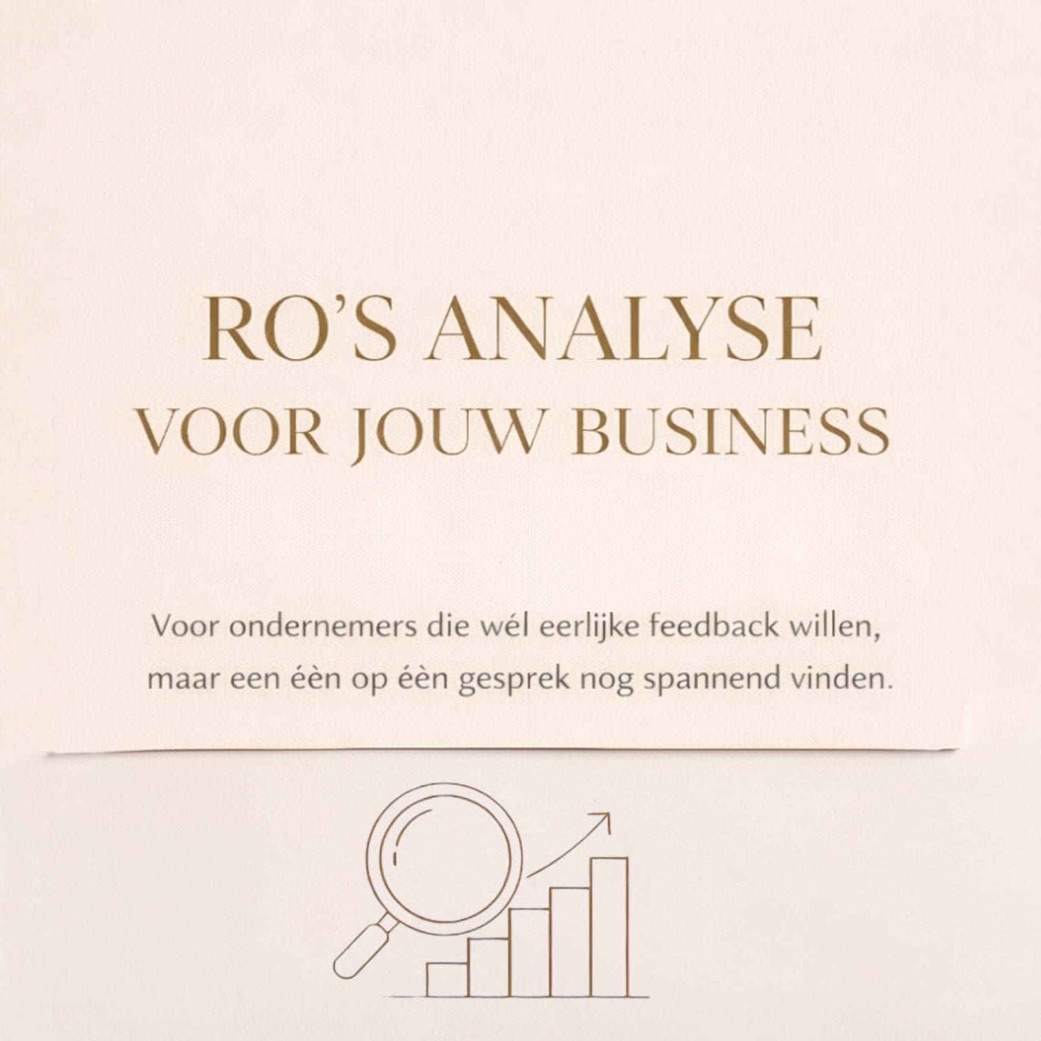 Ro’s Analyse voor jouw business - video analyse