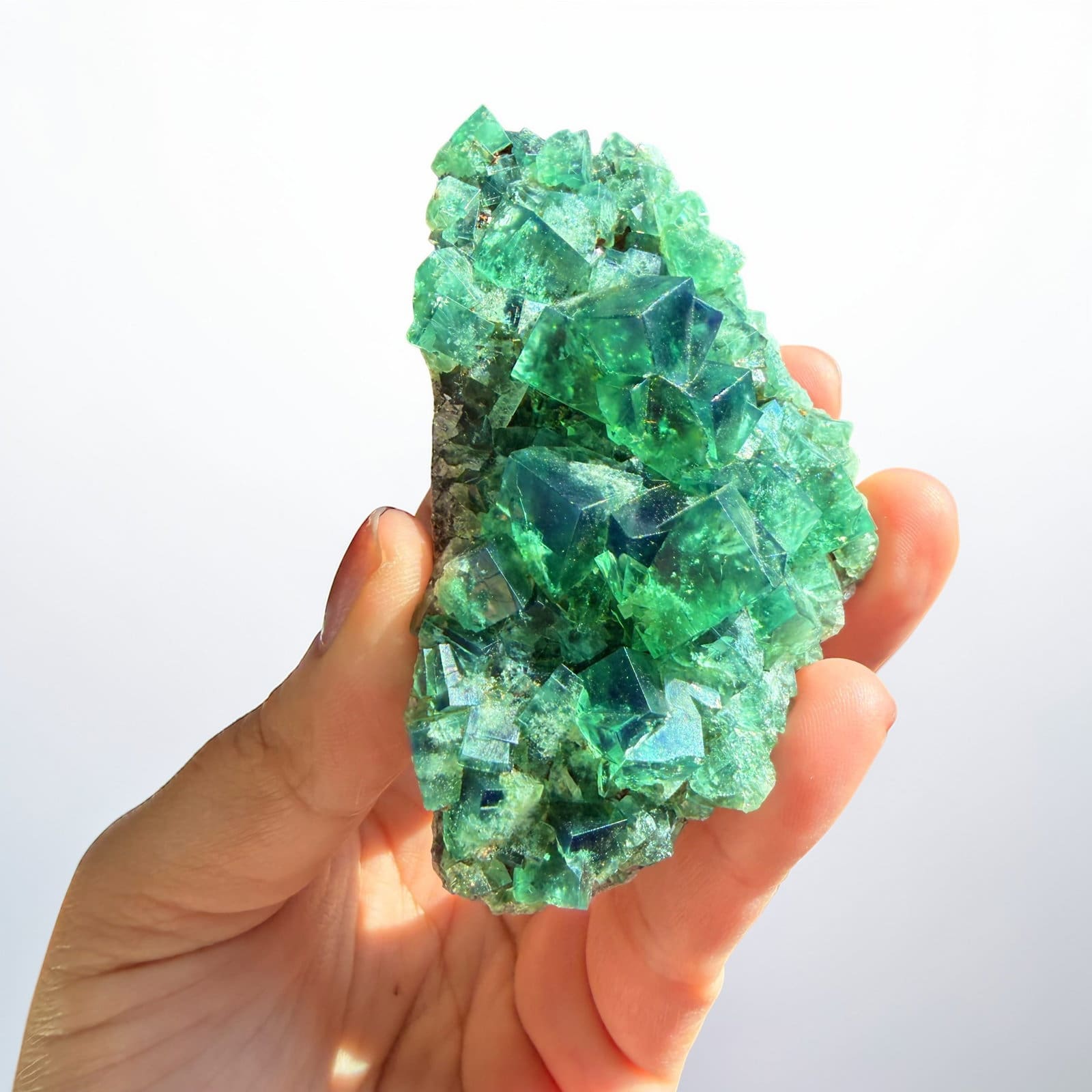 Daglicht fluoriet - Weardale - Pocket 42 cluster - 15