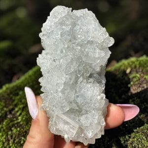 Apofyliet cluster – 179