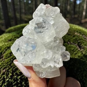 Apofyliet cluster – 180