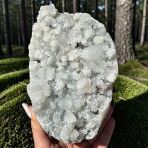 Apofyliet cluster – 181