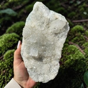 Apofyliet cluster – 195