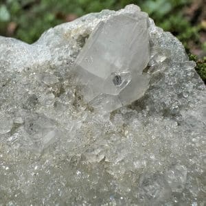 Alternative view of Apofyliet cluster – 195