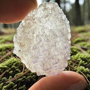 Triangle data fluoriet cluster - 1