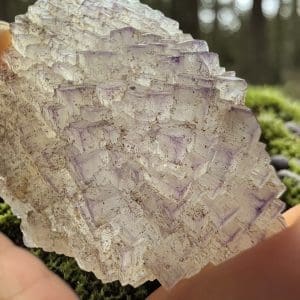 Alternative view of Triangle data fluoriet cluster - 1