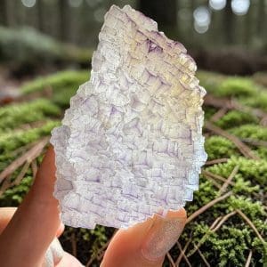 Triangle data fluoriet cluster - 5