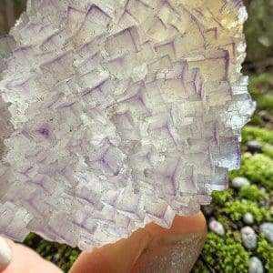 Alternative view of Triangle data fluoriet cluster - 5