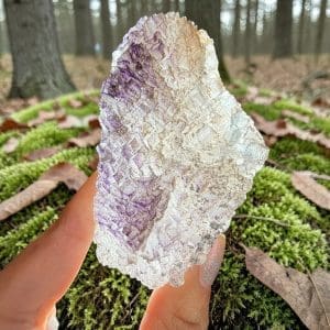 Triangle data fluoriet cluster - 6