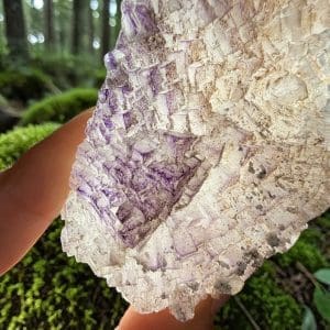 Alternative view of Triangle data fluoriet cluster - 6