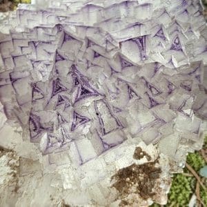 Alternative view of Triangle data fluoriet cluster - 7