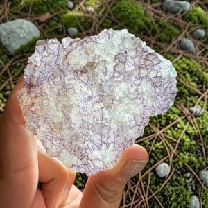 Triangle data fluoriet cluster - 8