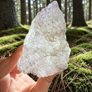 Triangle data fluoriet cluster - 9