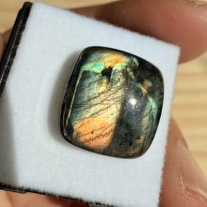 Spectroliet cabochon in venster doosje - 2