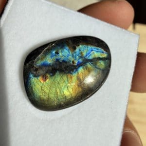 Spectroliet cabochon in venster doosje - 21