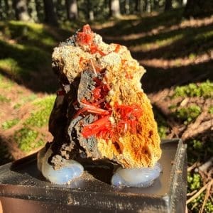 Crocoiet cluster uit Tasmanië - 2